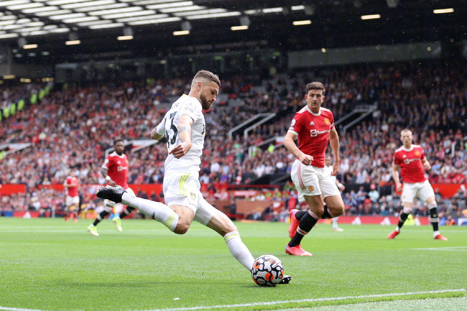 世界汲取灵 世界汲取灵